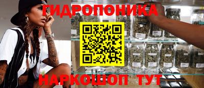 Альфа ПВП Анжеро-Судженск