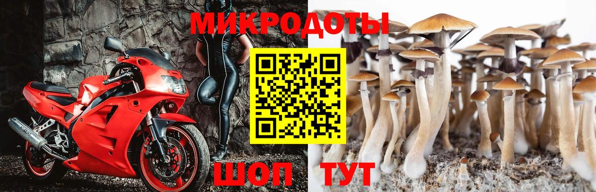 Крымск  Галлюциногенные грибы GOLDEN TEACHER  Вход с VPN 